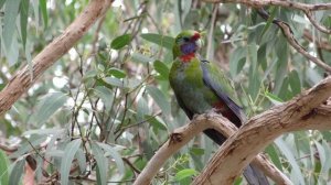 ФИЛЬТРАЦИЯ В ШЕРЕМЕТЬЕВО И ПРИТЧА.РЕАКЦИЯ ЛЮДЕЙ