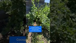 Эта девушка построила дом мечты своими руками!