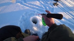 СУДАК НЕ ЛЕЗЕТ В ЛУНКУ! ПОПАЛИ на ВЕЧЕРНИЙ ХАПОК судака, рыбалка на Обском водохранилище