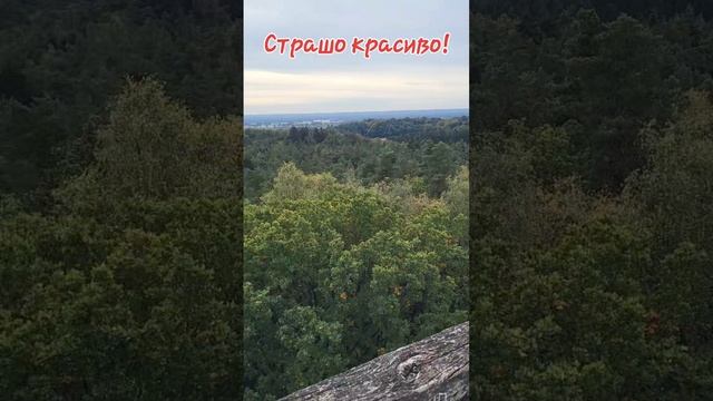 Страшно красиво. Смотровая башня. Aussichtsturm. #family #влоги #vlog #обзор #влог