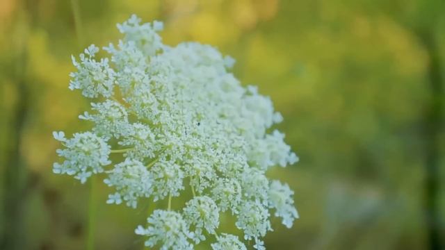 Выходя из зала суда, жена лишь улыбнулась, ведь муж не знал главного… смотреть онлайн