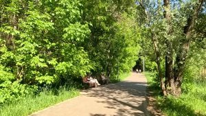 Заставив санитарку пройти полиграф, шеф обвинил ее в краже… А узнав о завещании богача, сослал в…