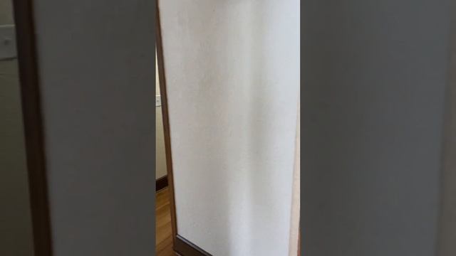 915 S 3rd Ave lower смотреть онлайн