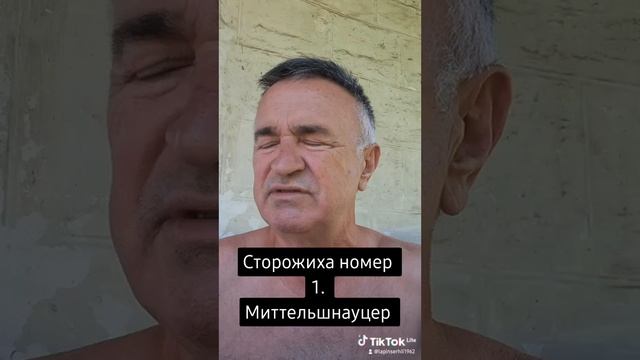 Реально наиболее лучшие сторожа что в квартире, что в частном секторе. смотреть онлайн