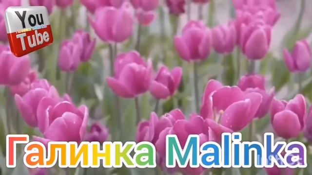 Ольга Уралочка live /Разоблачение /Нашлась хозяйка квартиры /Обзор /Уралочка и Сафар