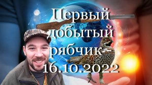 Первый добытый рябчик - 16.10.2022 #мой_мир_поморье