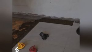 Leaving City, A Hardworking Boy Cleans and Restores a 20-Year-Old Trashy House for His Grandpa