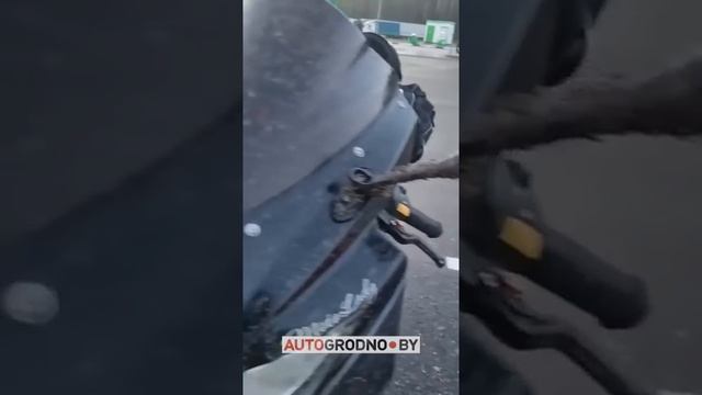 Нашествие насекомых на трассе М6 - Минск Гродно смотреть онлайн