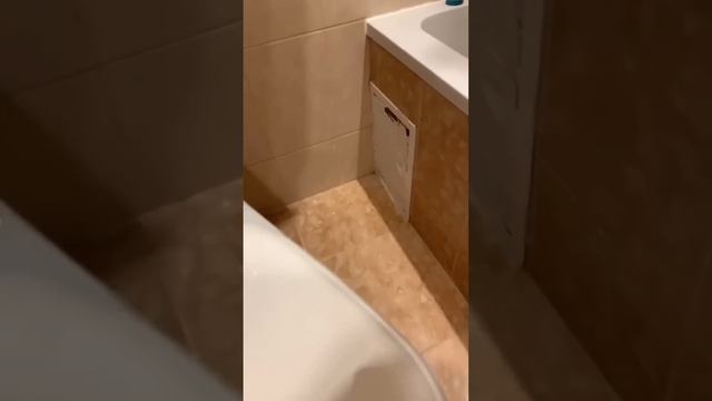 МОЯ ХАТКА ПОСЛЕ КВАРТИРАНТОВ Ч.3 . Начало НОВОГО отчета . смотреть онлайн