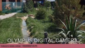 пансионат солнечная долина