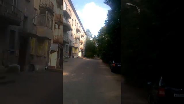 autumn season 2014(Кузьмолово)