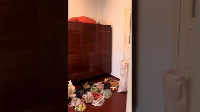 Дом 101м за 23тыс.$ в 20 минутах от Одессы #недвижимостьодесса #дом смотреть онлайн