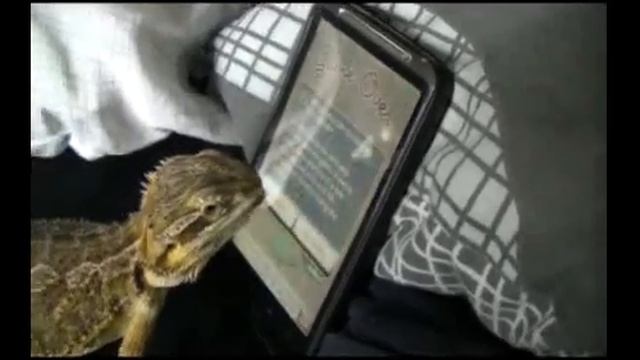 Снимут же такое - 68 смотреть онлайн