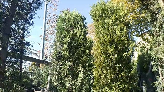 1000105879.mp4 смотреть онлайн