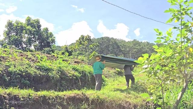 Tuấn's Special Gift to Hằng: Helping Grandpa Replace an Old Roof | Ly Phuc Hang смотреть онлайн