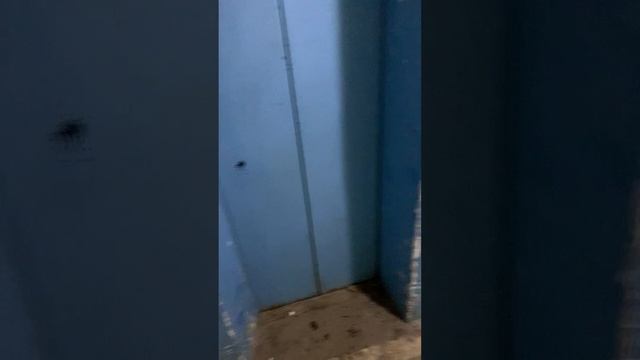 Квартира на продажу.Мушникова 5/1 смотреть онлайн