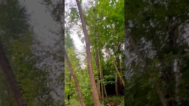 Москва метро Нагорная смотреть онлайн