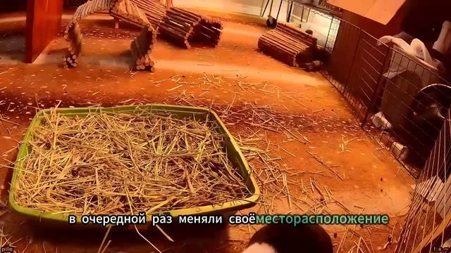 Убедительные оправдания - Мир рассказов