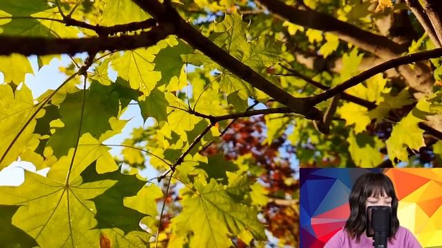 На семейном застолье свекровь насмехалась над родителями невестки. Но невестка ответила так, что...