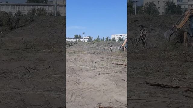 Беспридел в НОВОВОРОНЕЖЕ