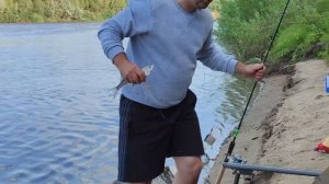 Первый раз приехал на рыбалку в Астрахань. Река Ахтуба 2024.