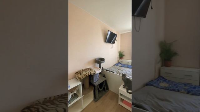 Квартира в городе Никольское Ленинградской области Тосненского района