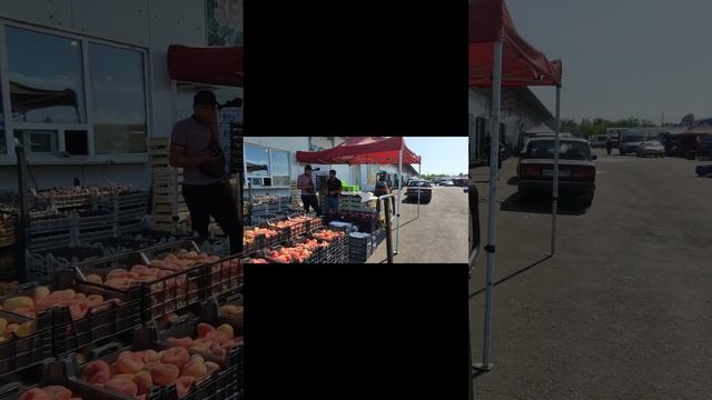 #рынокАлексеевскийВоронеж       Что есть на рынке Алексеевский(27.07.24 г.).