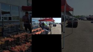 #рынокАлексеевскийВоронеж Что есть на рынке Алексеевский(27.07.24 г.).