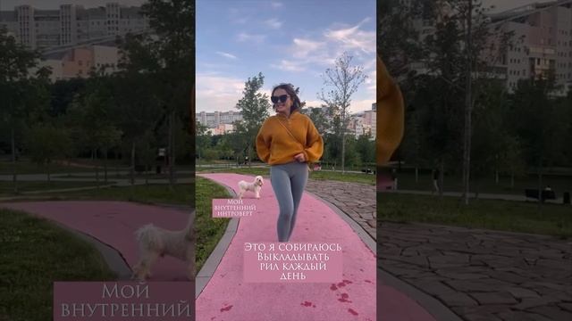 Интроверт и публичность
