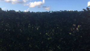 Я - интроверт, и это нормально