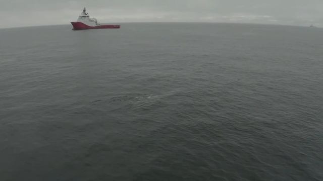 Невероятные СЕРЫЕ КИТЫ и суровое Охотское МОРЕ. Мониторинг Китов на Сахалине. Газпромнефть. NEW VLOG