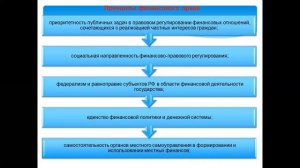 Финансовое право (Покачалова)