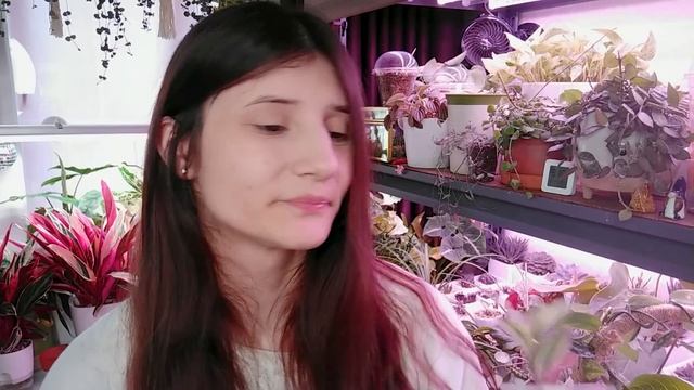 Обзор новинок с Гроубокса, и не только)) Столько у меня ещё не было...