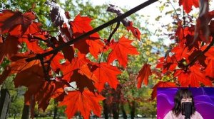 Придя в себя в реанимации, Вера вспомнила, что вчера развелась, из-за наследства. Но услышав...