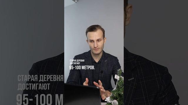 Метро Санкт-Петербурга. Интересные факты #купитьквартиру #продатьквартиру #застройщикимосквы смотреть онлайн