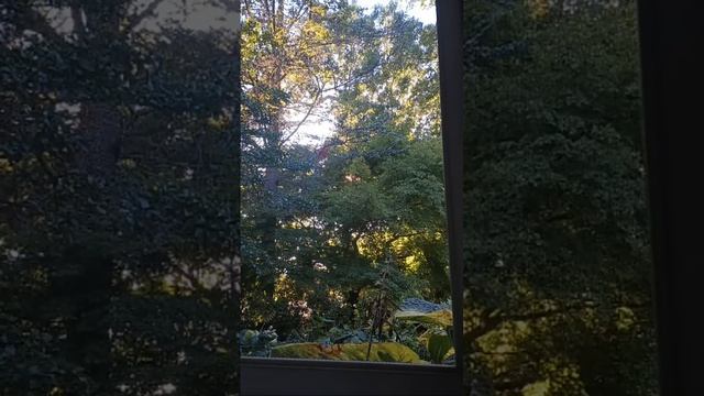 Америка в письмах is live!