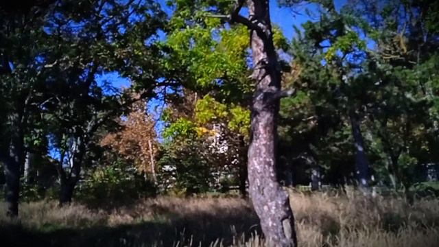 Керчь  Аршинцево  По улице Курортной, над обрывом, Первых космонавтов