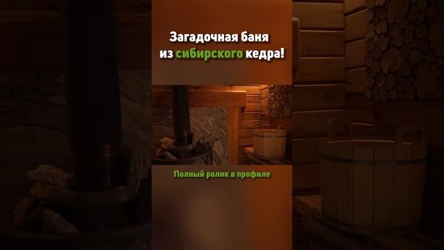 Баня у реки #баня #отдыхнаприроде #баняуреки #банныйдень #природныйотдых #релакс #времядлясебя