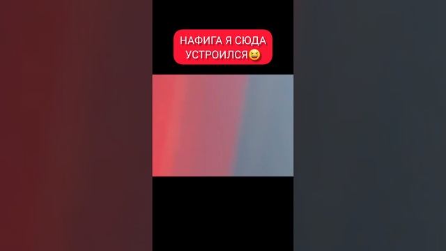 ☝️1я реакция новичка на огромной площади пожара #глазамипожарного #магнитогорск #101 #работапожарны смотреть онлайн