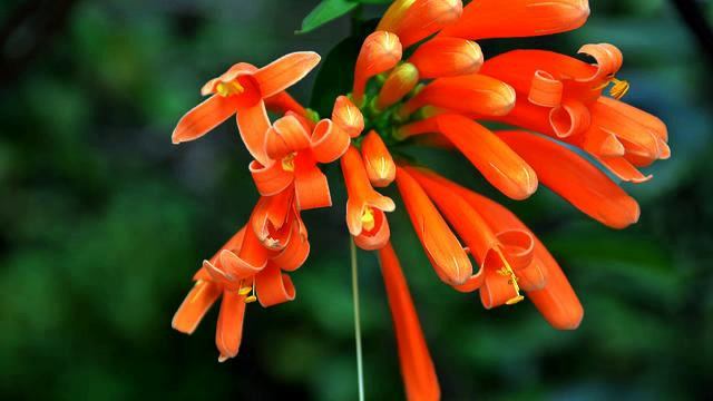 Хорошие песни из itunes онлайн смотреть онлайн