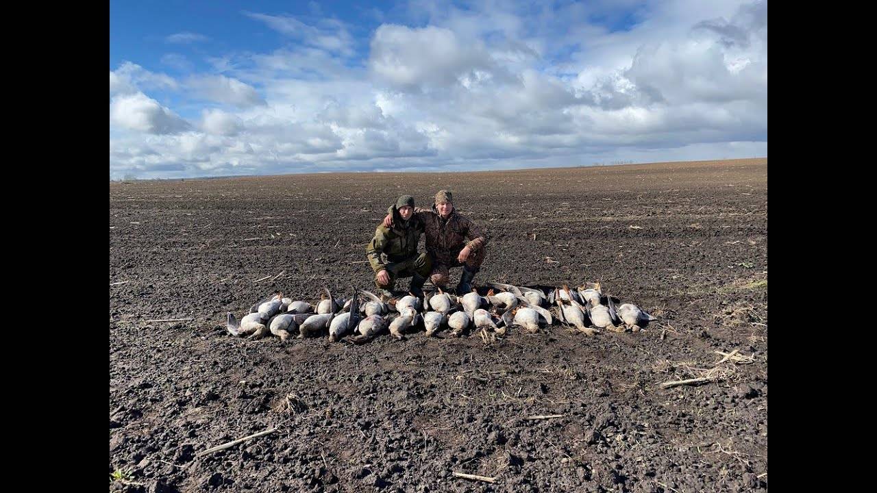 Охота на гуся 2021. Розыгрыш манка на гуся от Schoolhuner! Охота на гуся в Беларуси 24.04.21. смотреть онлайн