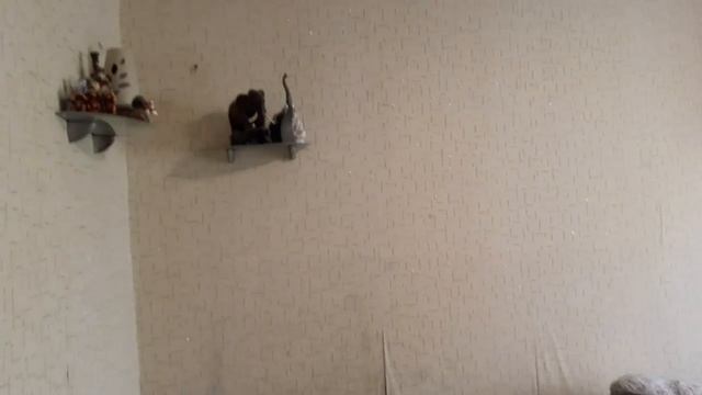 Студия возле УГНТУ по ул.Нежинской,8 смотреть онлайн