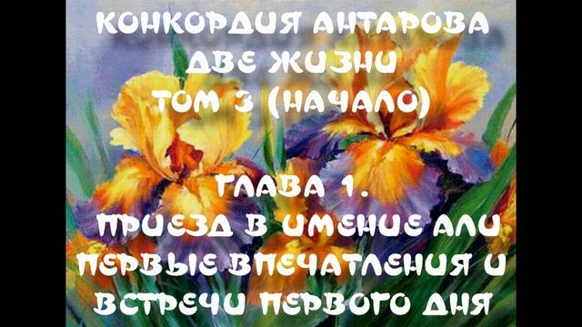 Глава 01  КОНКОРДИЯ АНТАРОВА  ДВЕ ЖИЗНИ  ТОМ 3 НАЧАЛО  Приезд в имение Али