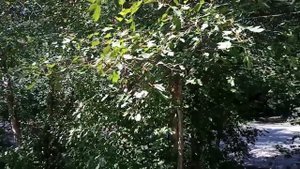 Устала тащить на себе мужа-лентяя, пока не услышала разговор подружек в автобусе