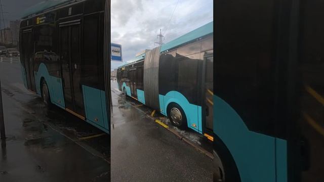 «Витовт» на Серебристом бульваре смотреть онлайн