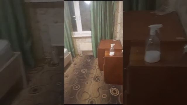 Квартира в екатеринбург 8 965 538-60-01 Комната Автомашистральная 11 за 11000 плюс ку посмотреть смотреть онлайн