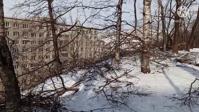 #нежвижимость ЦЕНЫ НА НЕДВИЖИМОСТЬ И АРЕНДА КВАРТИР - РАССУЖДЕНИЯ
