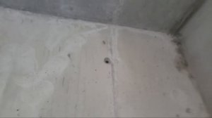 Долгожданный долгострой сдают! Осмотр Жк Царицыно 2! Приемка квартиры спустя 9 лет после покупки!