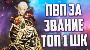 ЧТО КУПИТЬ В ПЕРВУЮ ОЧЕРЕДЬ / ЗА КОГО ИГРАТЬ / ПВП ЗА ЗВАНИЕ ТОП 1 / МАССОВЫЕ ЗАМЕСЫ / Lineage 2