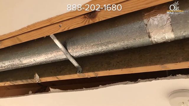 How to Find Hidden Mold in Your Home смотреть онлайн